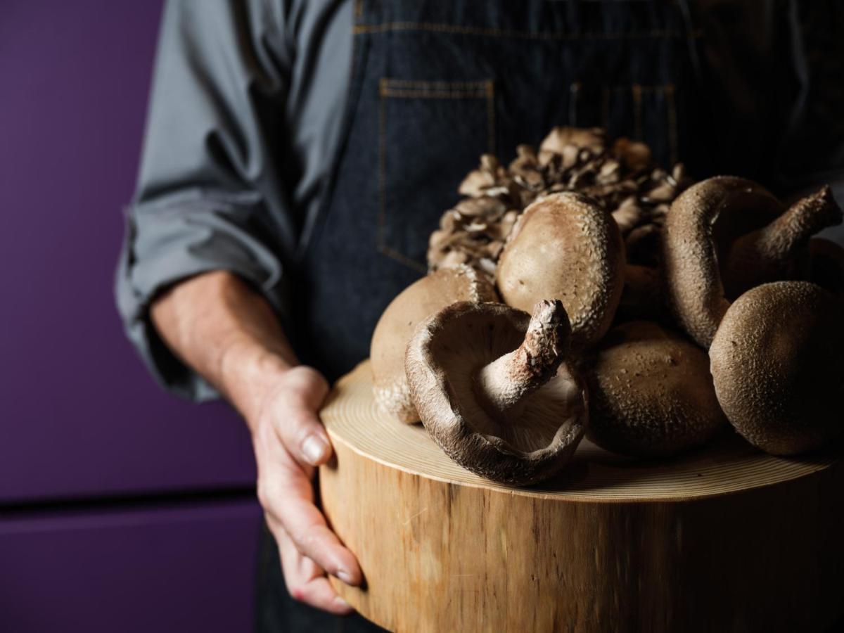 Hyatt Centric Kanazava Kültér fotó Shiitake mushrooms